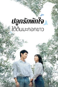 The White Olive Tree ปลูกรักพักใจ ใต้ต้นมะกอกขาว (2025) พากย์ไทย