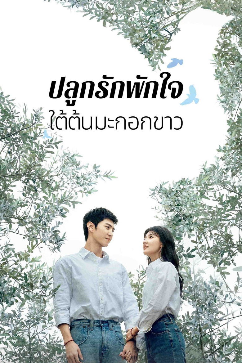 The White Olive Tree ปลูกรักพักใจ ใต้ต้นมะกอกขาว (2025) พากย์ไทย